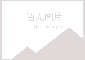 龙南县山柳化学有限公司